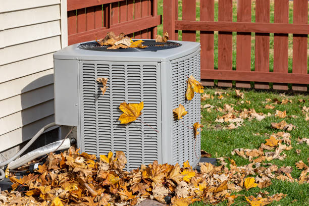 Best HVAC tune-up services  in Van Vleck, TX